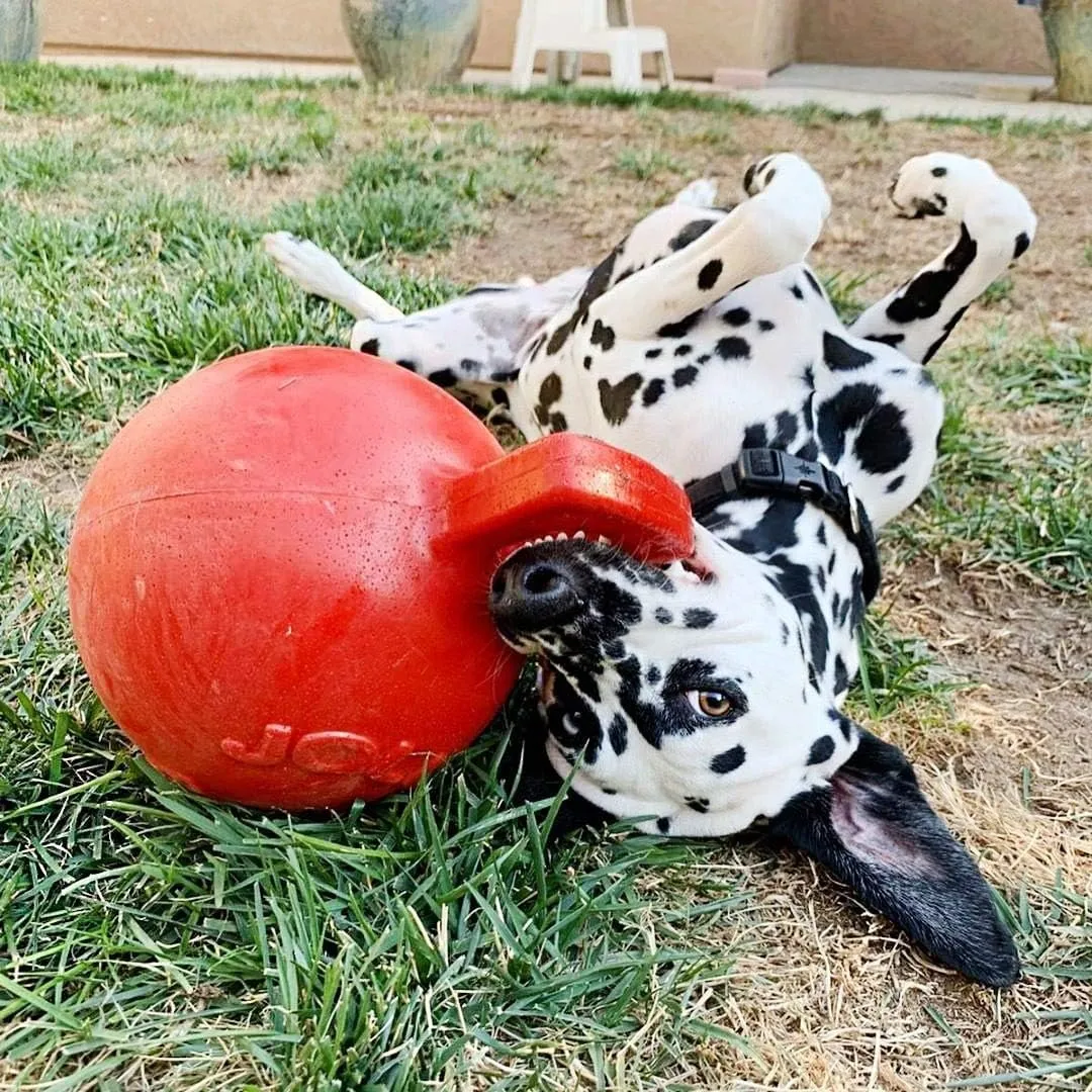 Jolly Pets Tug-n-Toss Heavy Duty Dog Toy Ball with Handle, 8 Inches/Large, Red (408 RD)