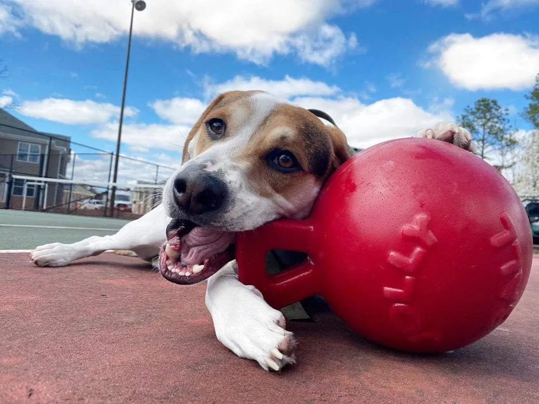 Jolly Pets Tug-n-Toss Heavy Duty Dog Toy Ball with Handle, 8 Inches/Large, Red (408 RD)