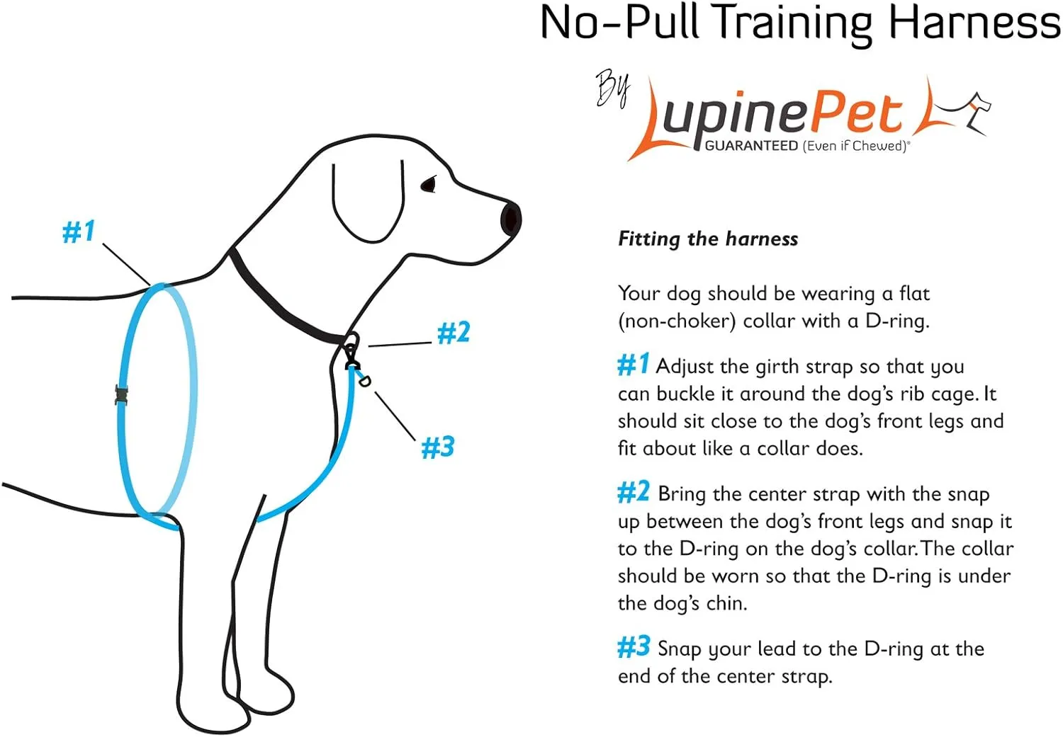 LupinePet Originals 3/4" Sea Glass 16-26" No Pull Harness for Small-Medium Dogs