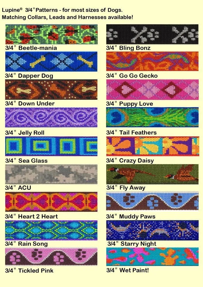 LupinePet Originals 3/4" Sea Glass 16-26" No Pull Harness for Small-Medium Dogs