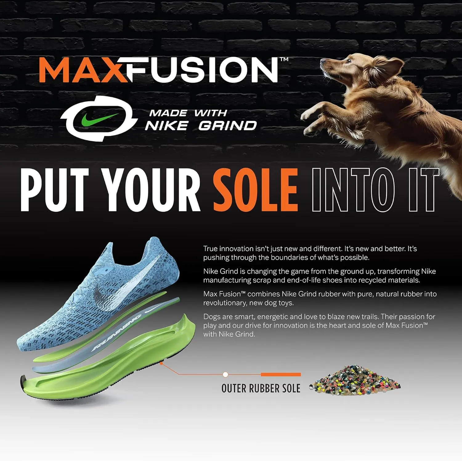 Max Fusion with Nike Grind, Arlee Spiro Football Treat Dispensing Dog Toy, Durable Dog Treat Toy, L