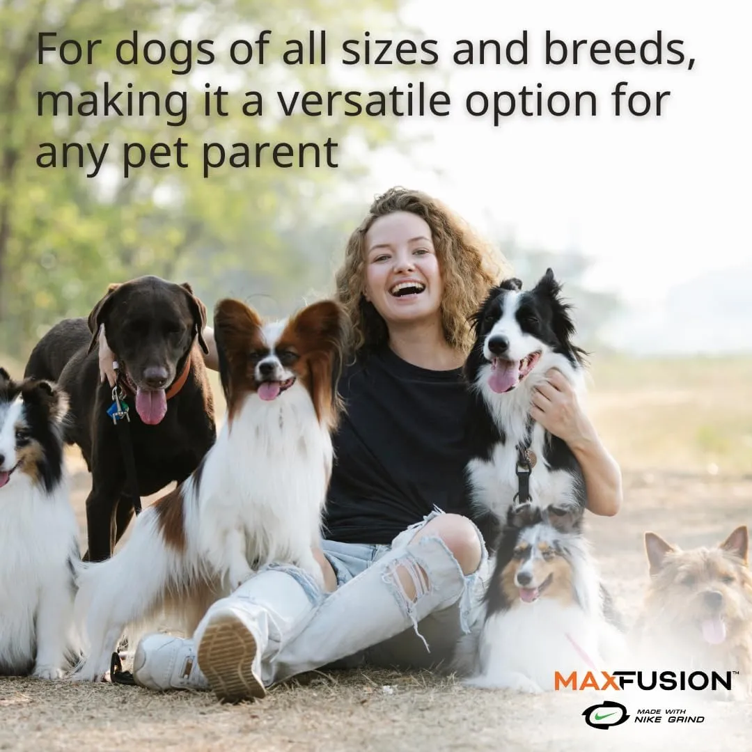 Max Fusion with Nike Grind, Arlee Spiro Football Treat Dispensing Dog Toy, Durable Dog Treat Toy, L