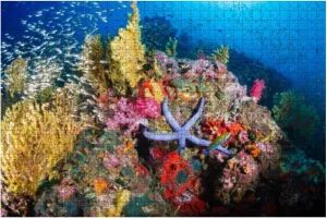 Puzzles for Adults 1000 Pieces Funny Tropical Fish Swimming Around A Healthy Colorful Coral Reef - Large Puzzle Game Artwork for Adults Teens