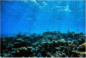 Puzzles for Adults 500 Pieces Funny Amazing Underwater Tropical Fishes - Large Puzzle Game Artwork for Adults Teens