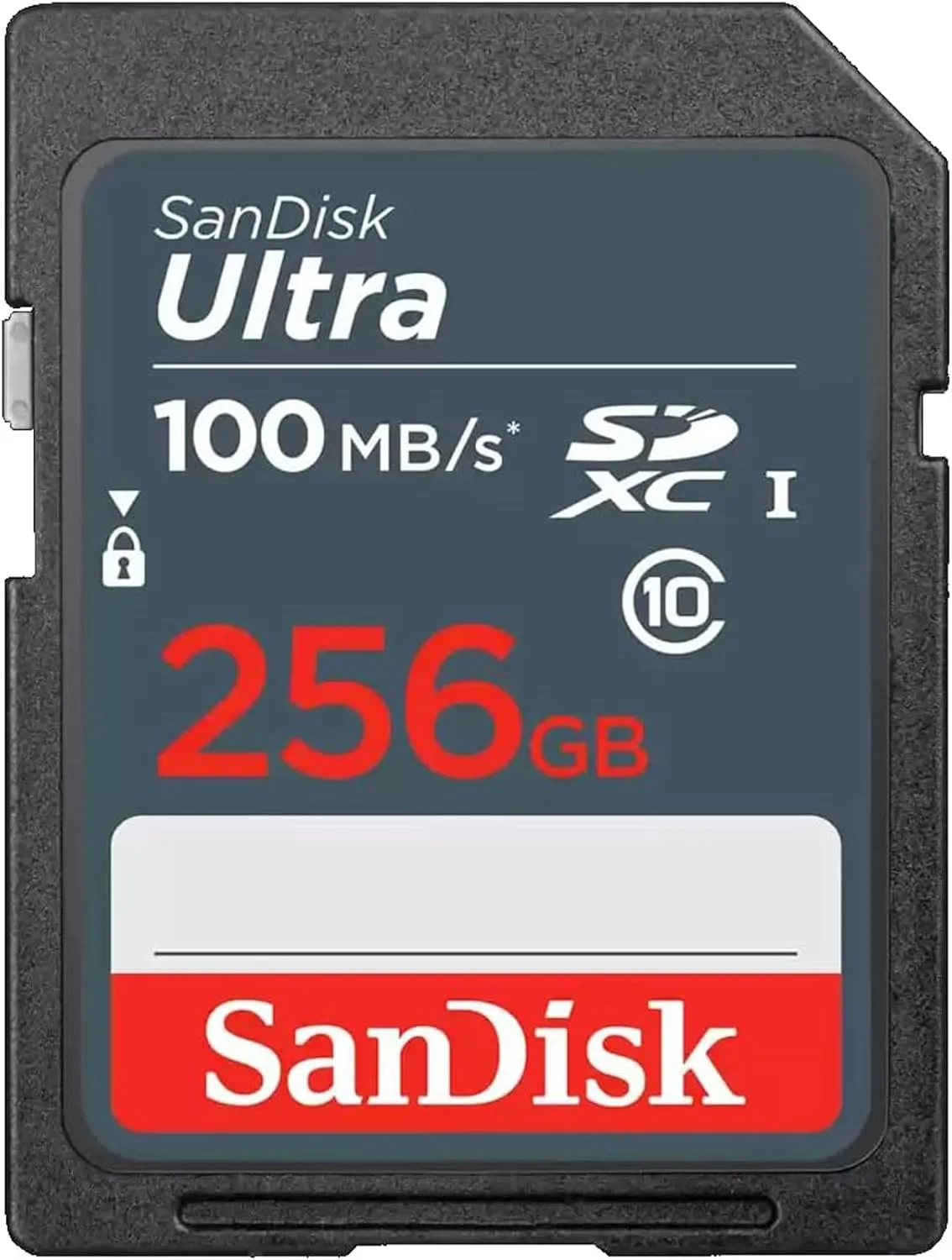 SanDisk 100MB/s SD Ultra 256GB Class 10 SDXC Memory Card SDSDUNR-256G-GN3IN - Bundle with 1 Everything But Stromboli Multi-Slot Memory Card Reader