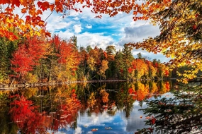 Springbok Autumn Lake - 1500 Piece Jigsaw Puzzle for Adults - Made in USA