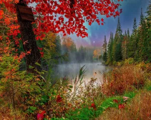 Springbok's Early Dawn on The Lake 1000 Piece Puzzle for Adults Brings You to a Relaxing Lakeside Escape