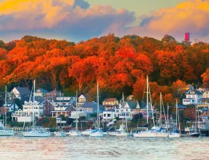 Springbok's Harbor in The Fall 500 Piece Puzzle for Adults Shows The Beauty of This Northeastern Habor in Fall Colors