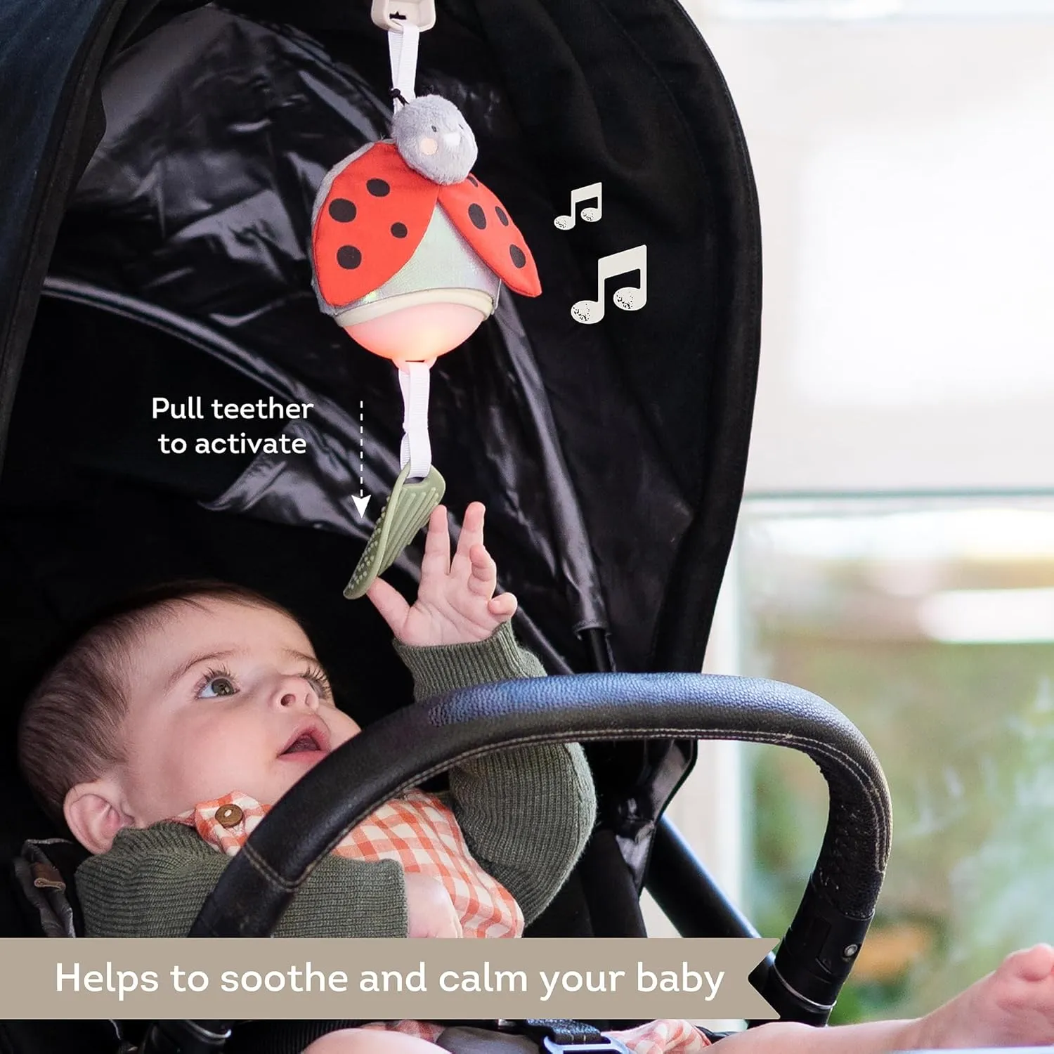 Taf Toys Music & Light Ladybug Take Along Toy, Portable Baby Sound Machine, Newborn Soother, Infant Musical Crib Mobile, Perfect for Tummy Time and Brain Development, Suitable for 0-6 Months