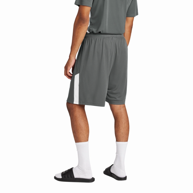 Team HOOP FEEN Shorts