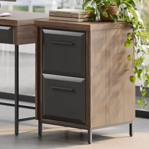 Thomasville® Alderbrook 21"D Vertical 2-Drawer File Cabinet, Walnut/Matte Black
