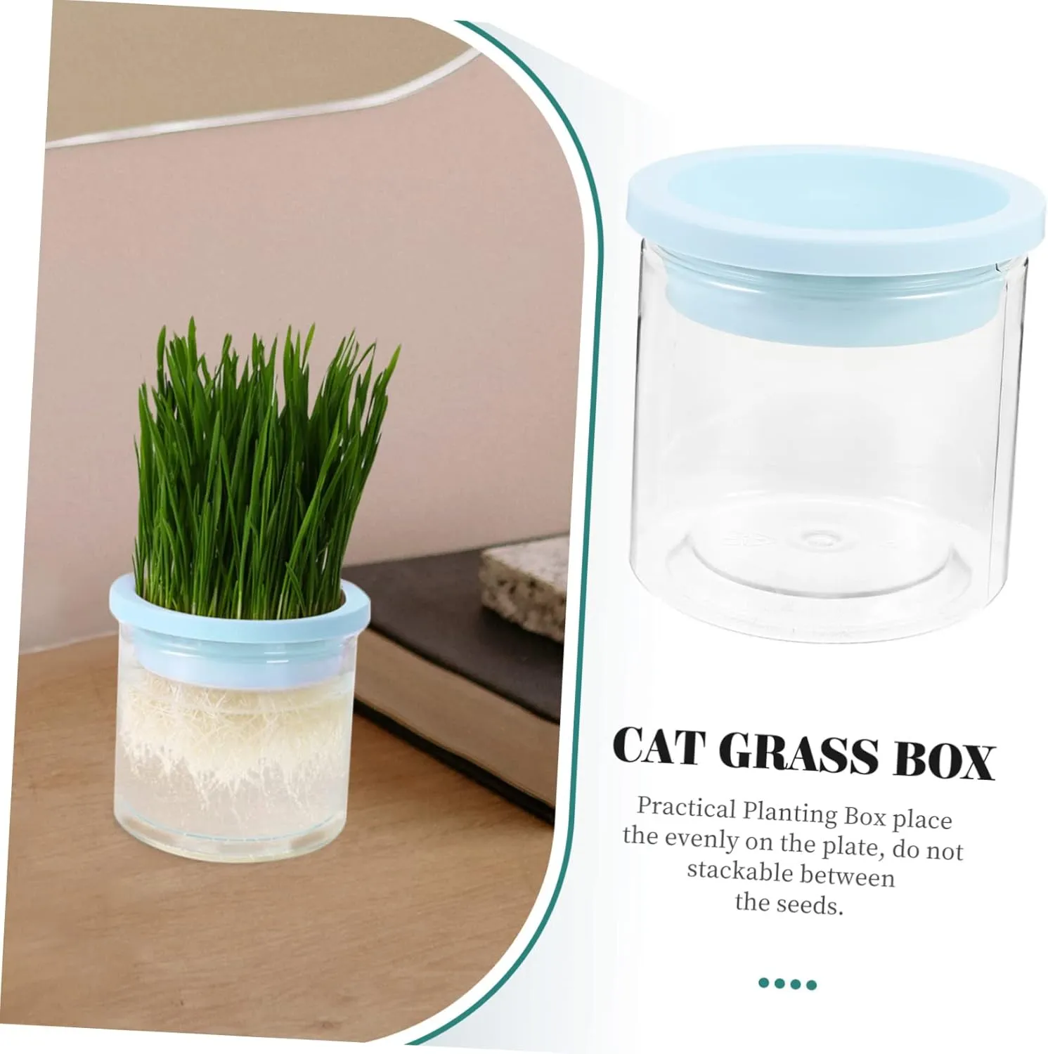VANZACK Pcs Cat Grass Soilless Planter Large Capacity Hydroponic Plant Pot Cat Grass Growing Kit