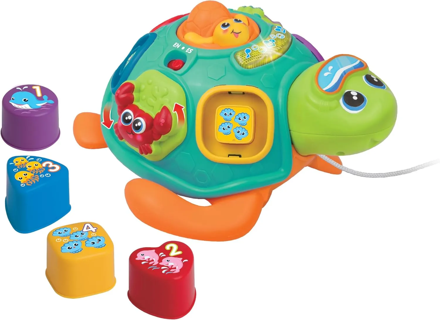 winfun Pull Along Sort 'n Learn Turtle – Shape Sorter Toy for Toddlers 12M  with Lights, Sounds, Music, Quiz Game – Bilingual English/Spanish Educational Toy – Includes 4 Shapes & Batteries