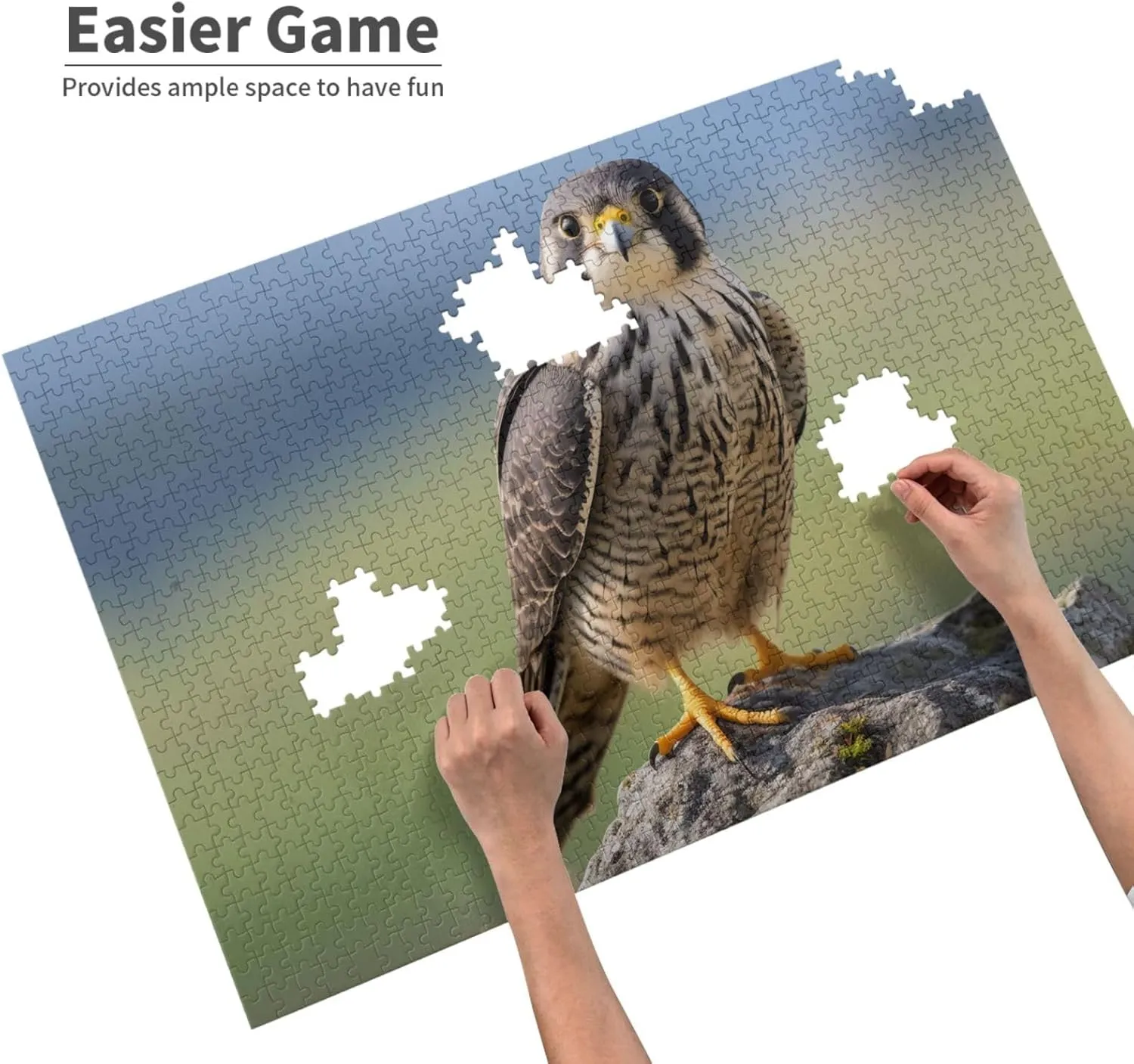 Wooden Puzzle -1000 Piece Falcons On The Grassland Printed Adult Puzzles, Perfect for Home Leisure and Entertainment -19.7x29.5 Inches