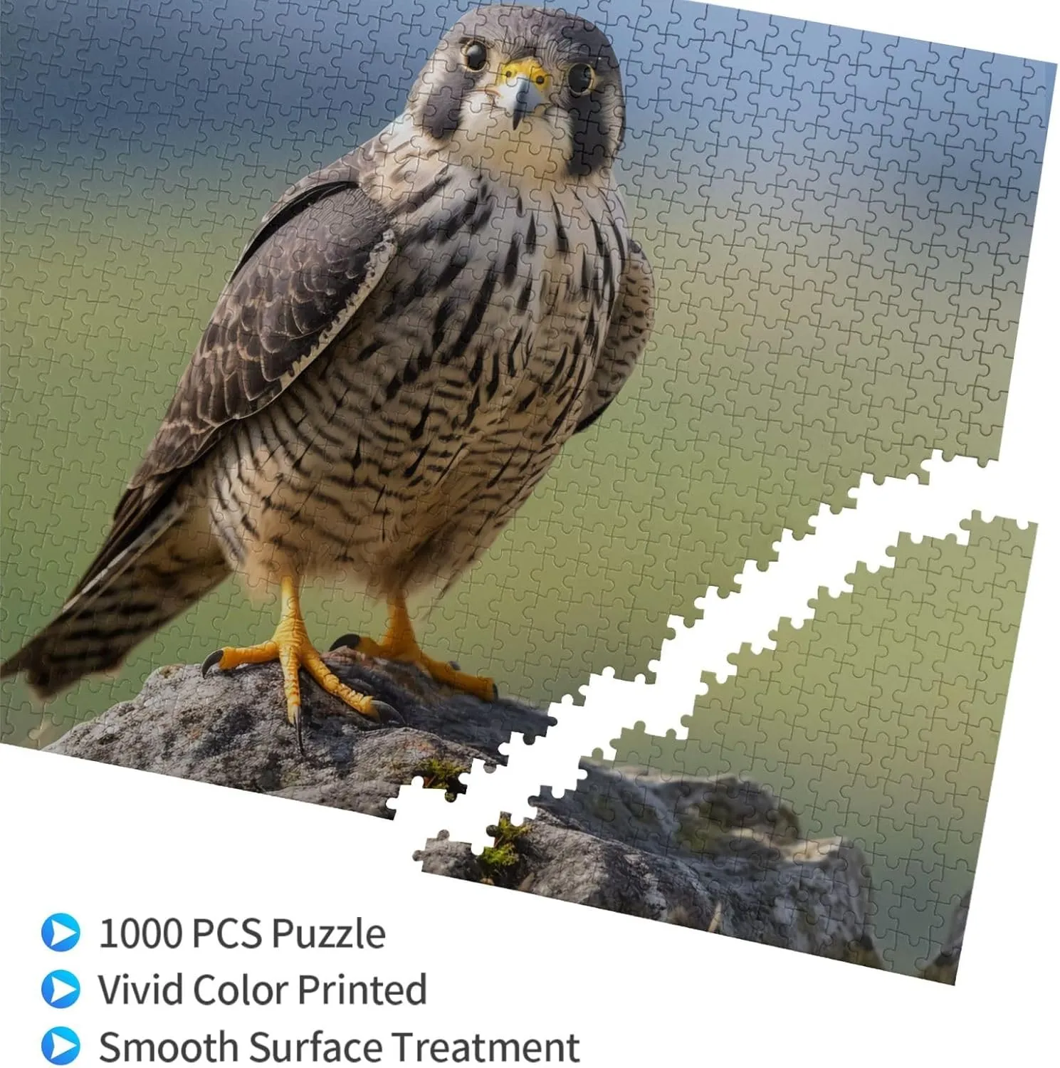 Wooden Puzzle -1000 Piece Falcons On The Grassland Printed Adult Puzzles, Perfect for Home Leisure and Entertainment -19.7x29.5 Inches