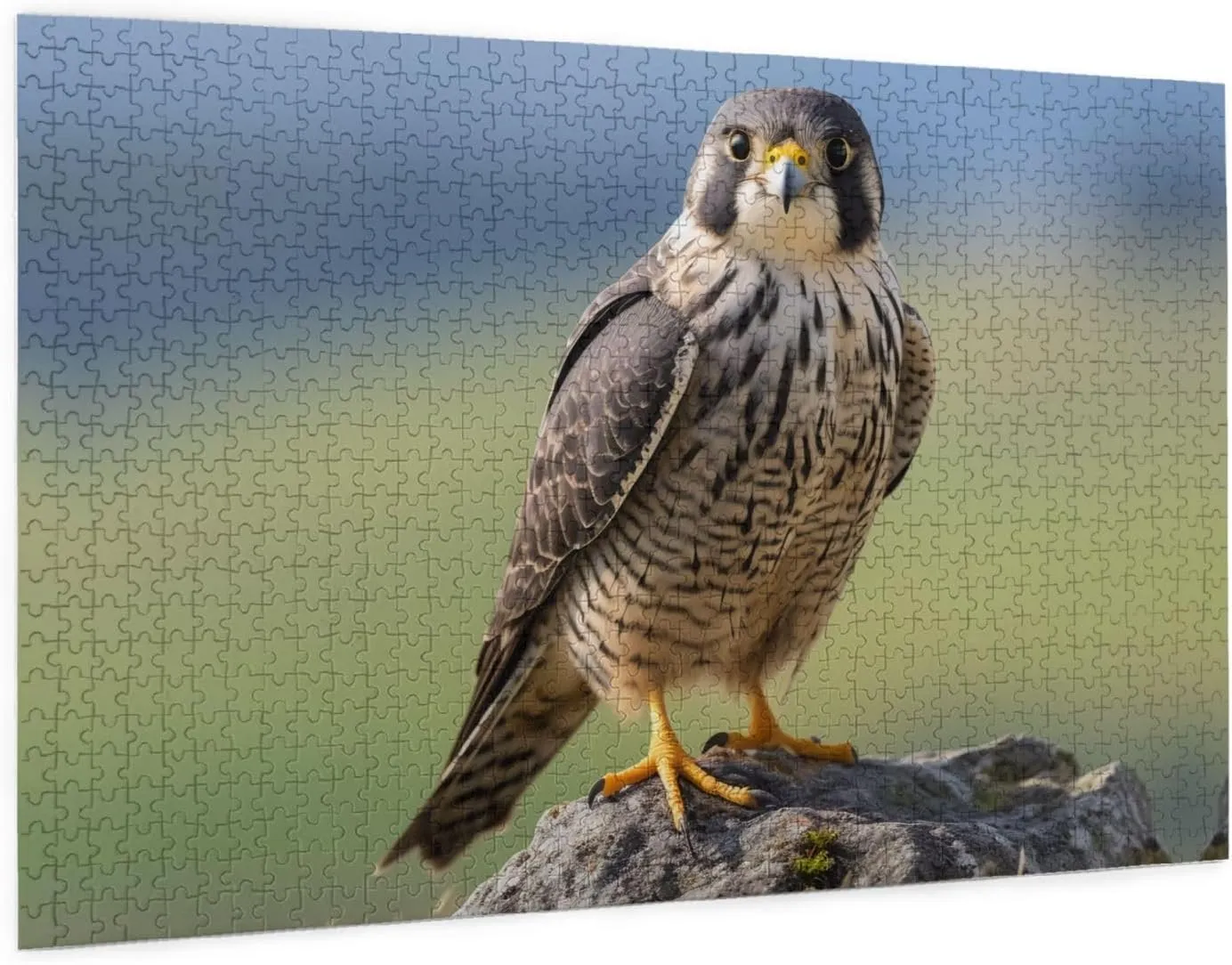Wooden Puzzle -1000 Piece Falcons On The Grassland Printed Adult Puzzles, Perfect for Home Leisure and Entertainment -19.7x29.5 Inches